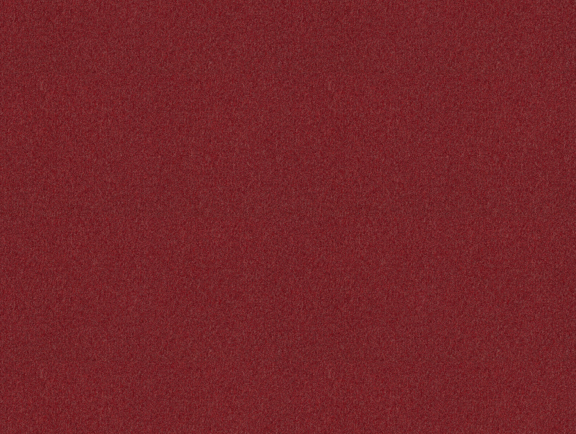 Tessera basis pro - 4205 chilli